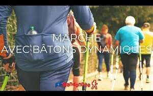 Bâtons dynamiques