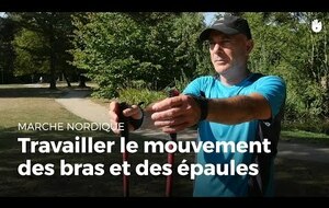 Épaules et bras