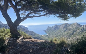 🥾 Randonnée :Massif des Calanques Cols de Morgiou et Sormiou au départ des Baumettes (départ terminus du 22 )