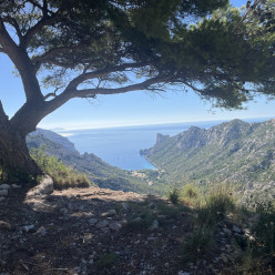 🥾 Randonnée :Massif des Calanques Cols de Morgiou et Sormiou au départ des Baumettes (départ terminus du 22 )
