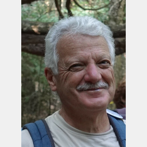 Michel-S